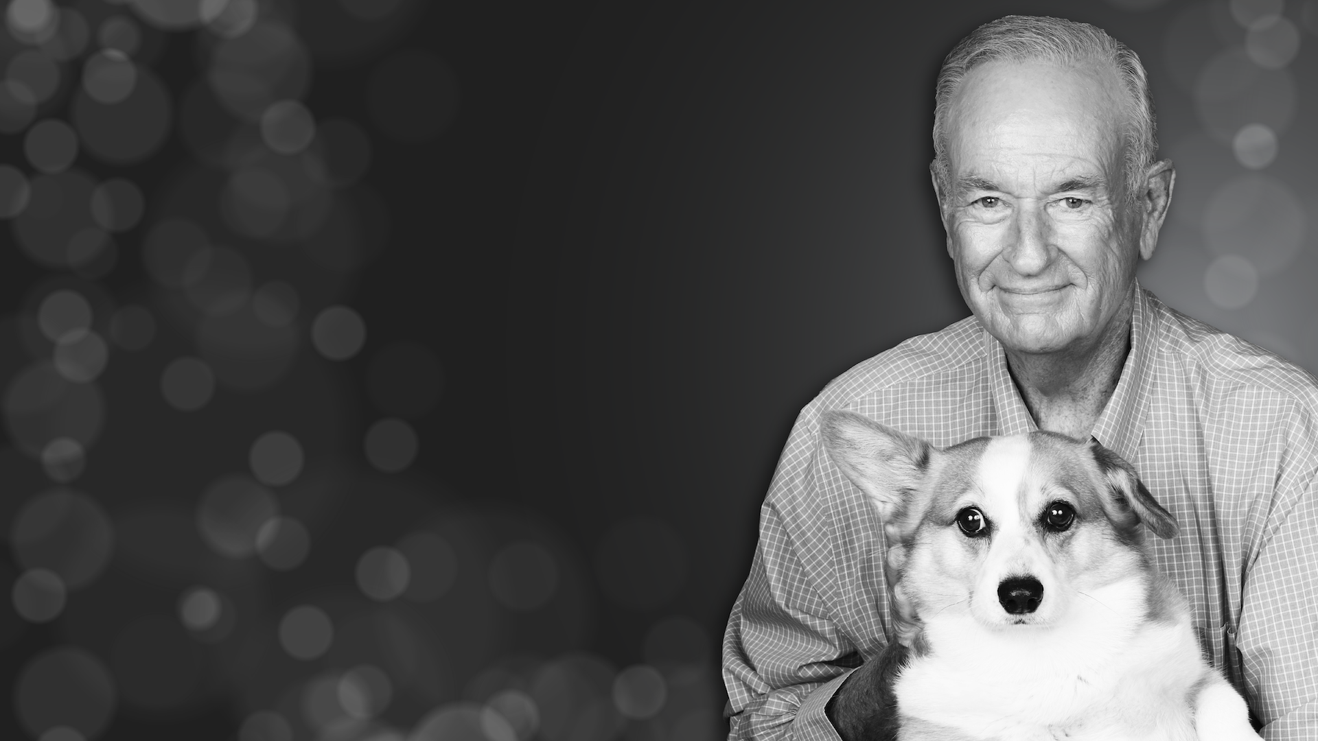A Tribute to Holly the Terror Dog